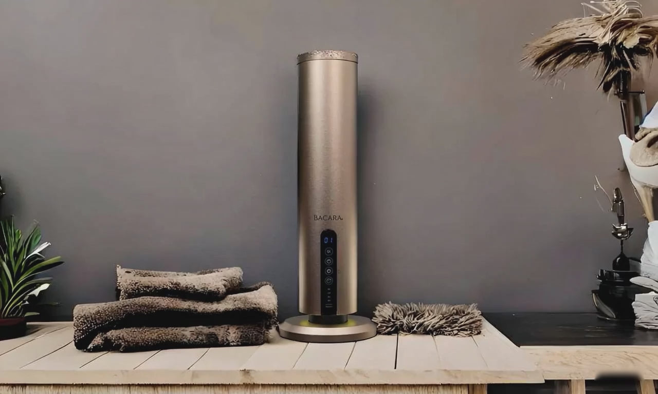 Încarcă videoclipul: 