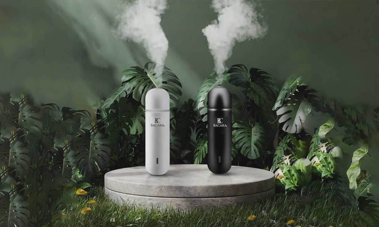 Încarcă videoclipul: 